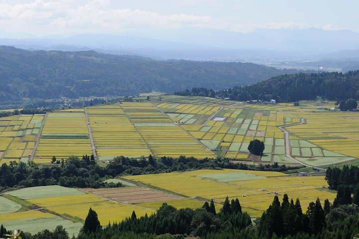 山本山高原 G Log